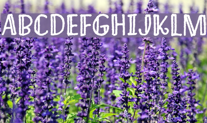 ImaginethisDEMO Font examples