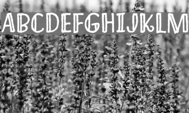 ImaginethisDEMO Font examples