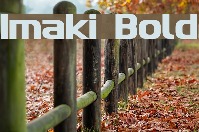 Imaki Bold Font examples