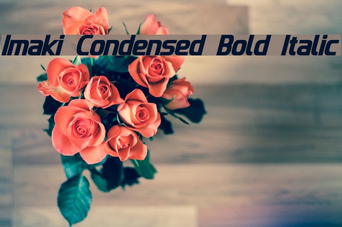 Imaki Condensed Bold Italic Font examples