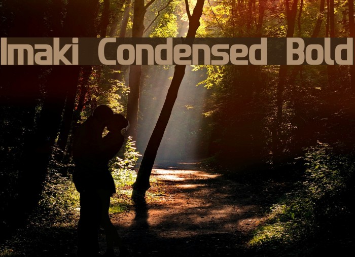 Imaki Condensed Bold Font examples