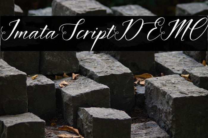 ImataScriptDEMO Example 1