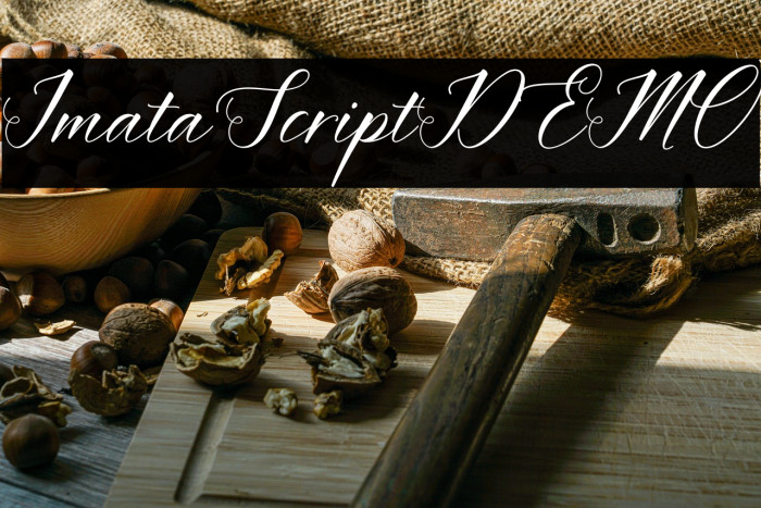 ImataScriptDEMO Example 2