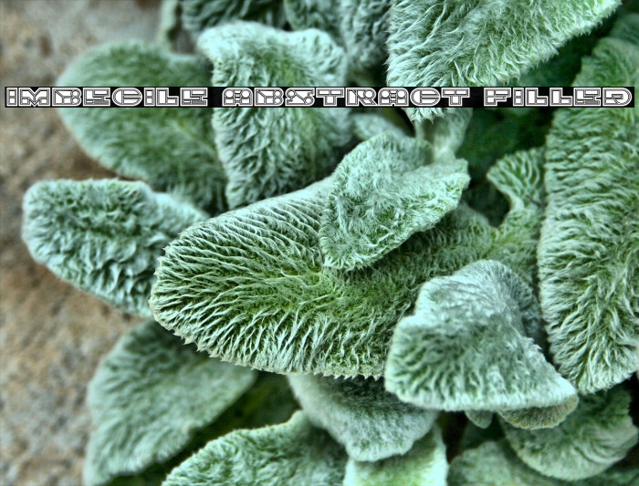 Imbecile Abstract Filled Example 1