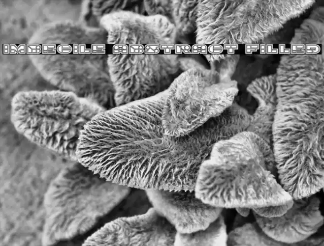 Imbecile Abstract Filled Font examples