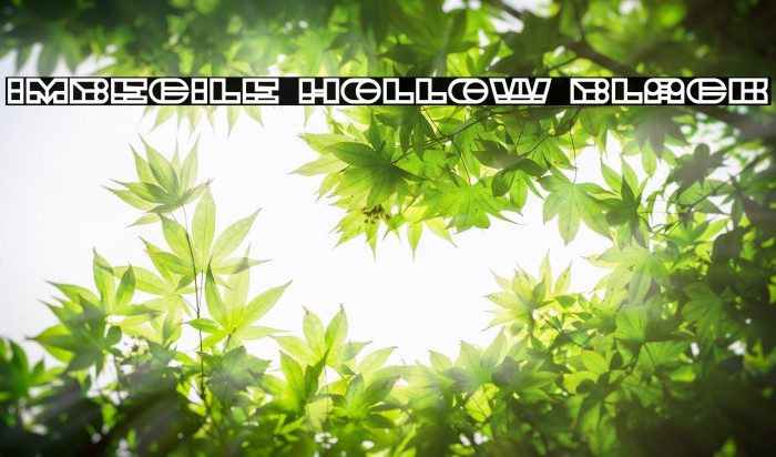 Imbecile Hollow Black Example 1