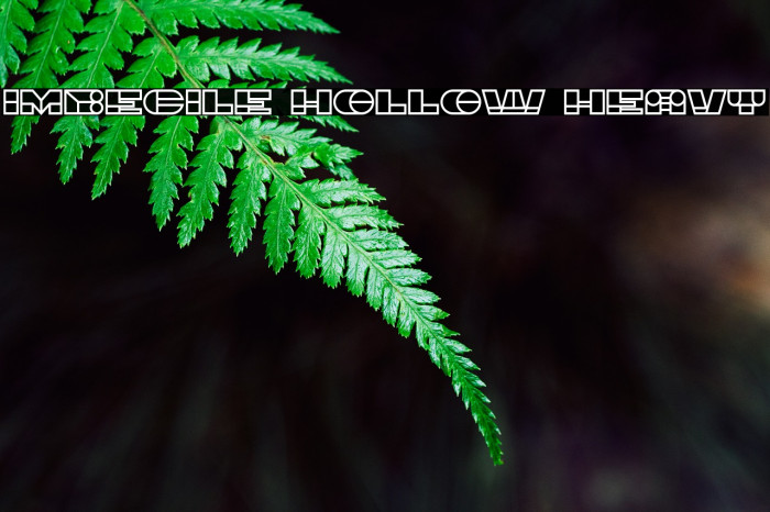 Imbecile Hollow Heavy Font examples