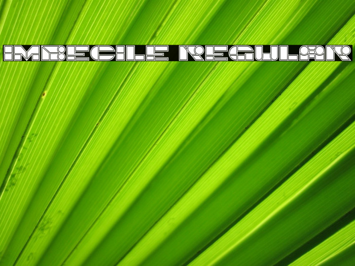 Imbecile Regular Font examples