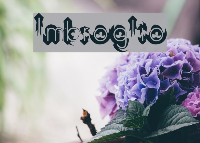 Imbroglio Font examples