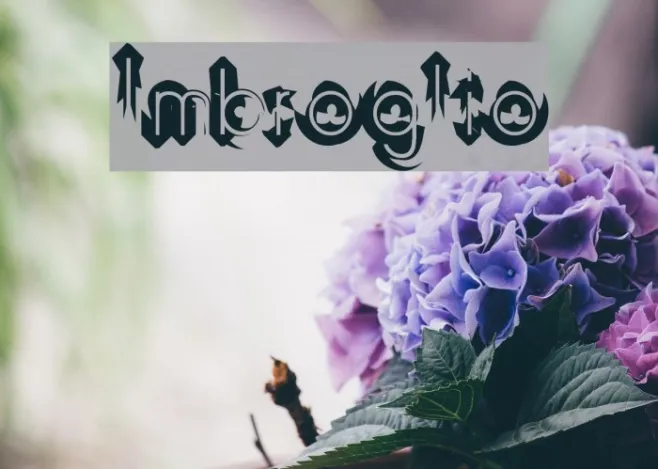 Imbroglio Example 2