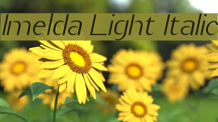 Imelda Light Italic Font examples