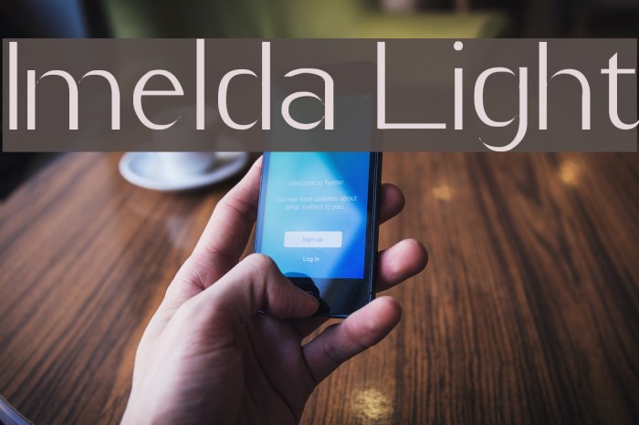 Imelda Light Font examples