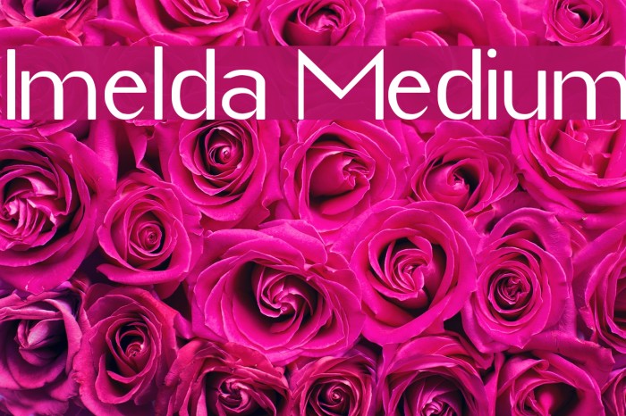 Imelda Medium Font examples