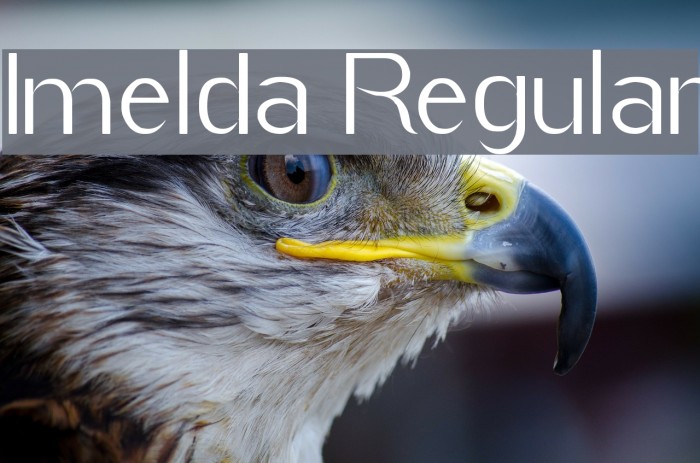 Imelda Regular Font examples
