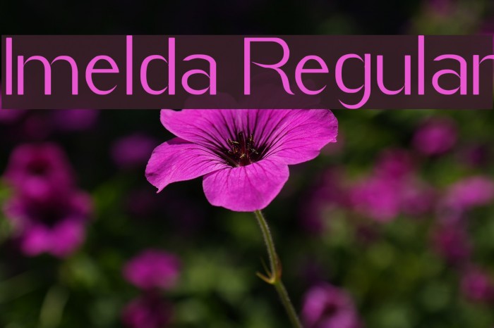 Imelda Regular Font examples
