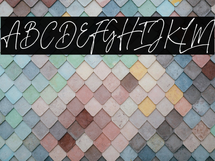 ImestavigaSignatureDEMO Example 1