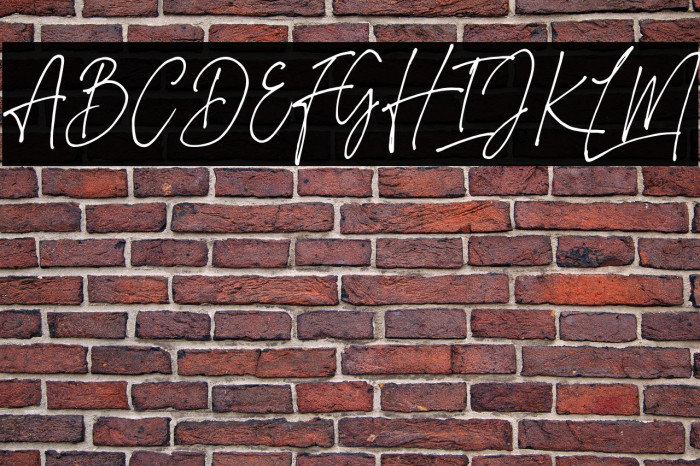 ImestavigaSignatureDEMO Example 2