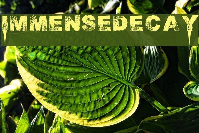 ImmensedecaY Font examples