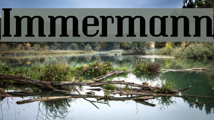 Immermann Font examples