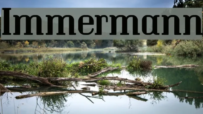 Immermann Example 3