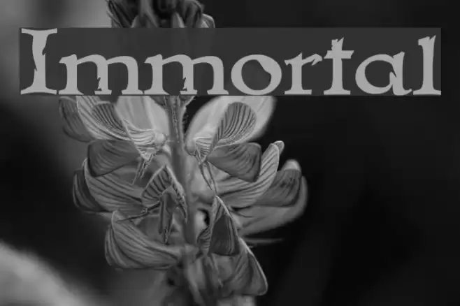 Immortal Schriftart examples