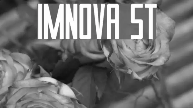 Imnova St Font examples
