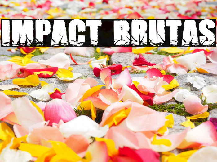Impact Brutas Example 2
