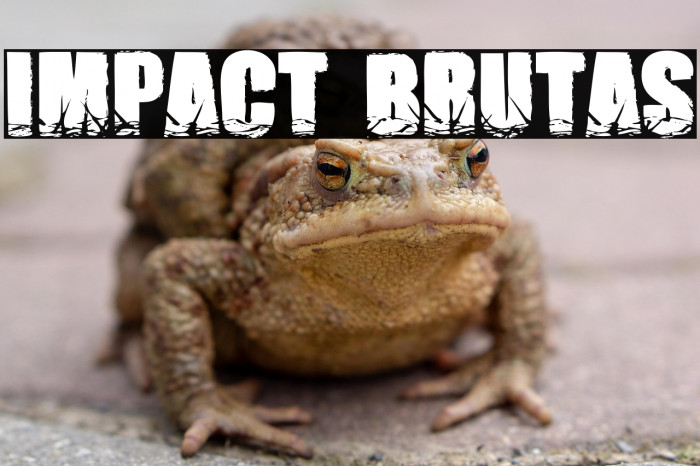 Impact Brutas Example 3