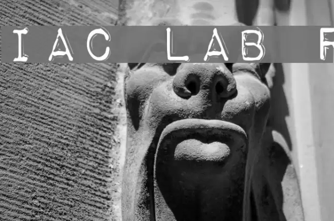 Impact Label Rev Шрифта examples