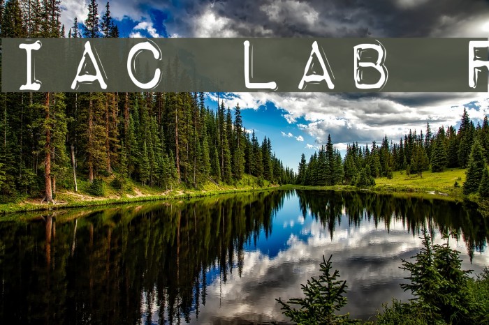 Impact Label Rev Font examples