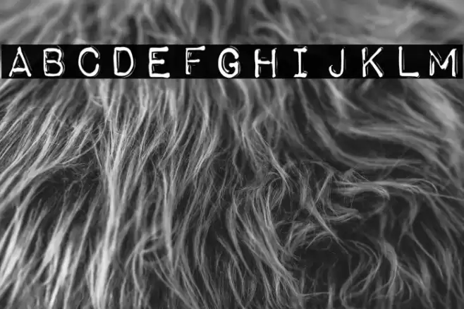 Impact Label Reversed Font examples