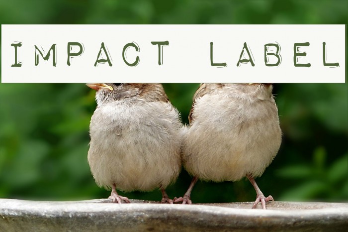 Impact Label フォント examples