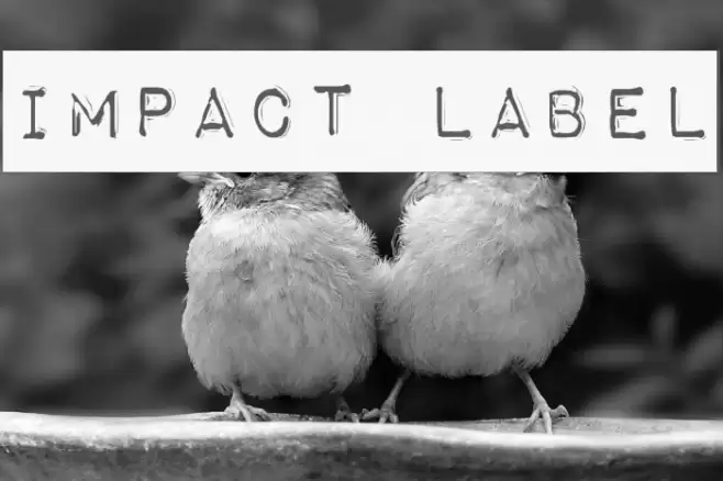 Impact Label Шрифта examples