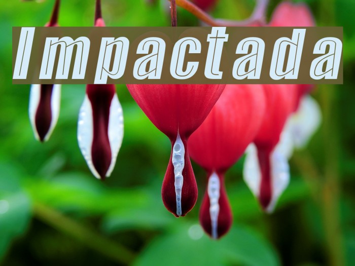 Impactada Font examples