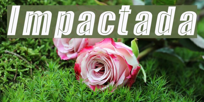Impactada Font examples