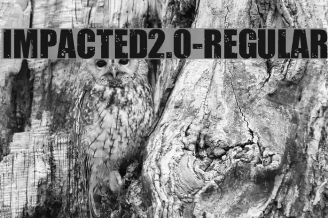 Impacted2.0-Regular Font examples