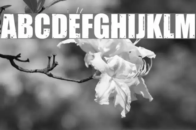 Impacted Fuentes examples