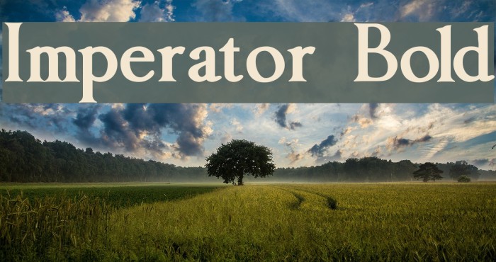 Imperator Bold Font examples