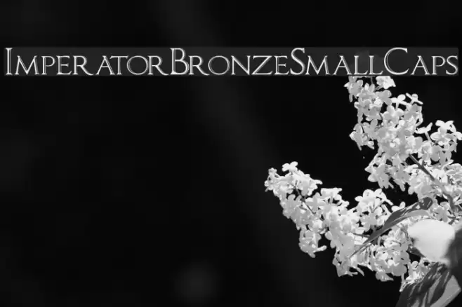 ImperatorBronzeSmallCaps Polices examples