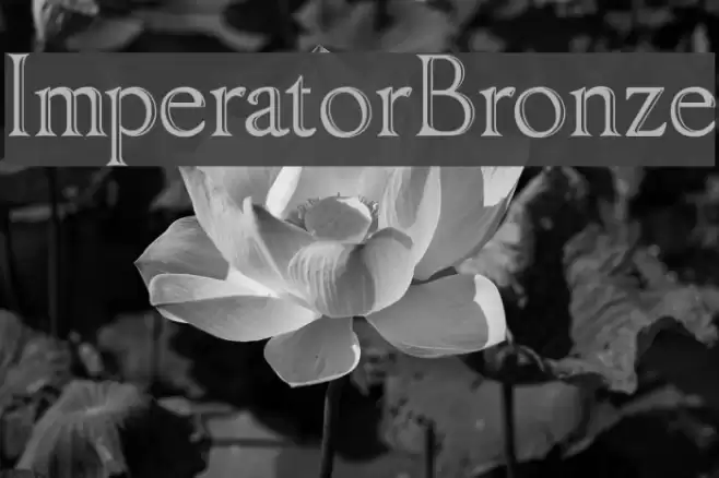 ImperatorBronze フォント examples