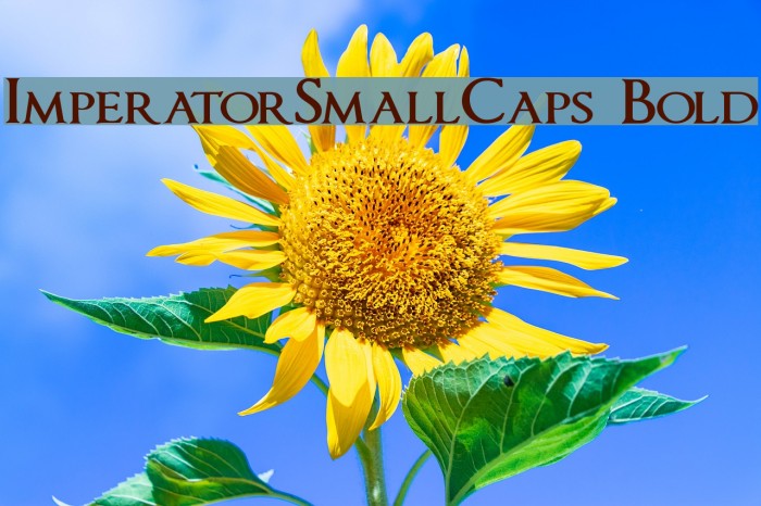 ImperatorSmallCaps Bold Font examples