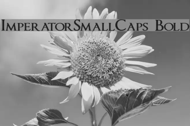 ImperatorSmallCaps Bold フォント examples