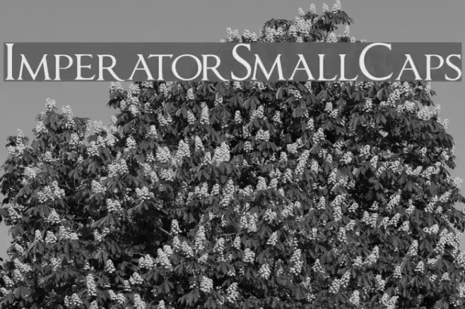 ImperatorSmallCaps フォント examples