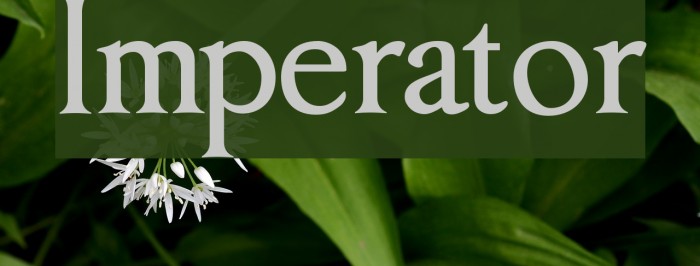 Imperator Font examples