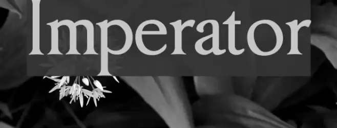Imperator フォント examples