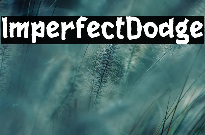 Imperfect Dodge Example 2