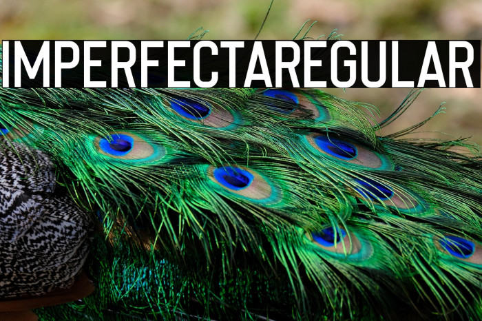 ImperfectaRegular Example 1