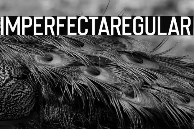 ImperfectaRegular خط examples