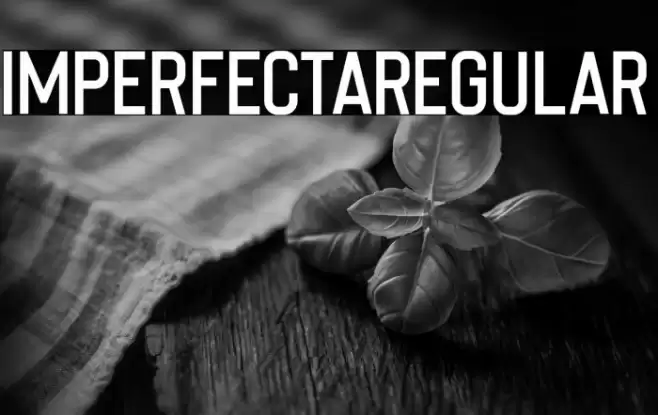 ImperfectaRegular خط examples