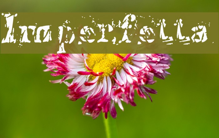 Imperfetta Font examples